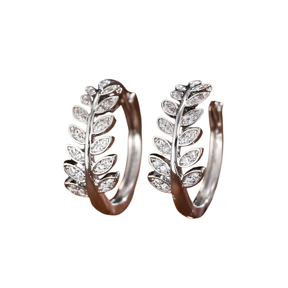 (b) Boucle d'oreille Naya Silver