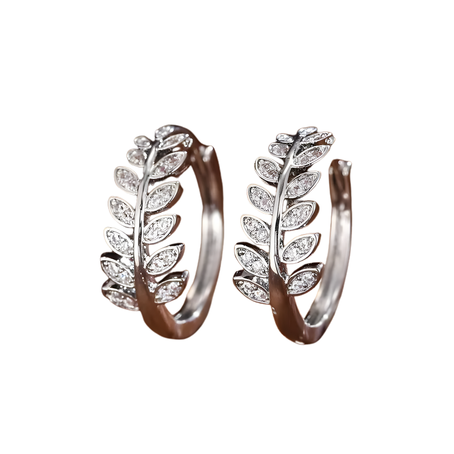 (b) Boucle d'oreille Naya Silver