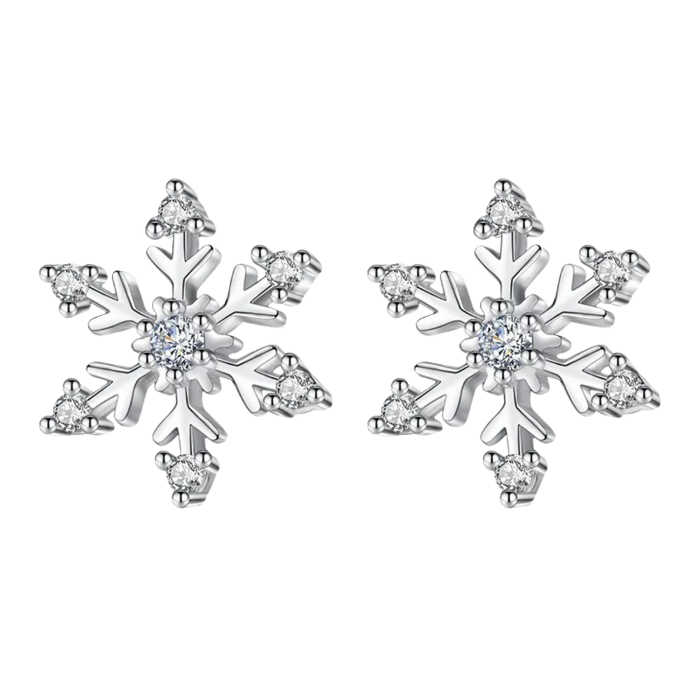 (b) Boucle d'oreille Neige