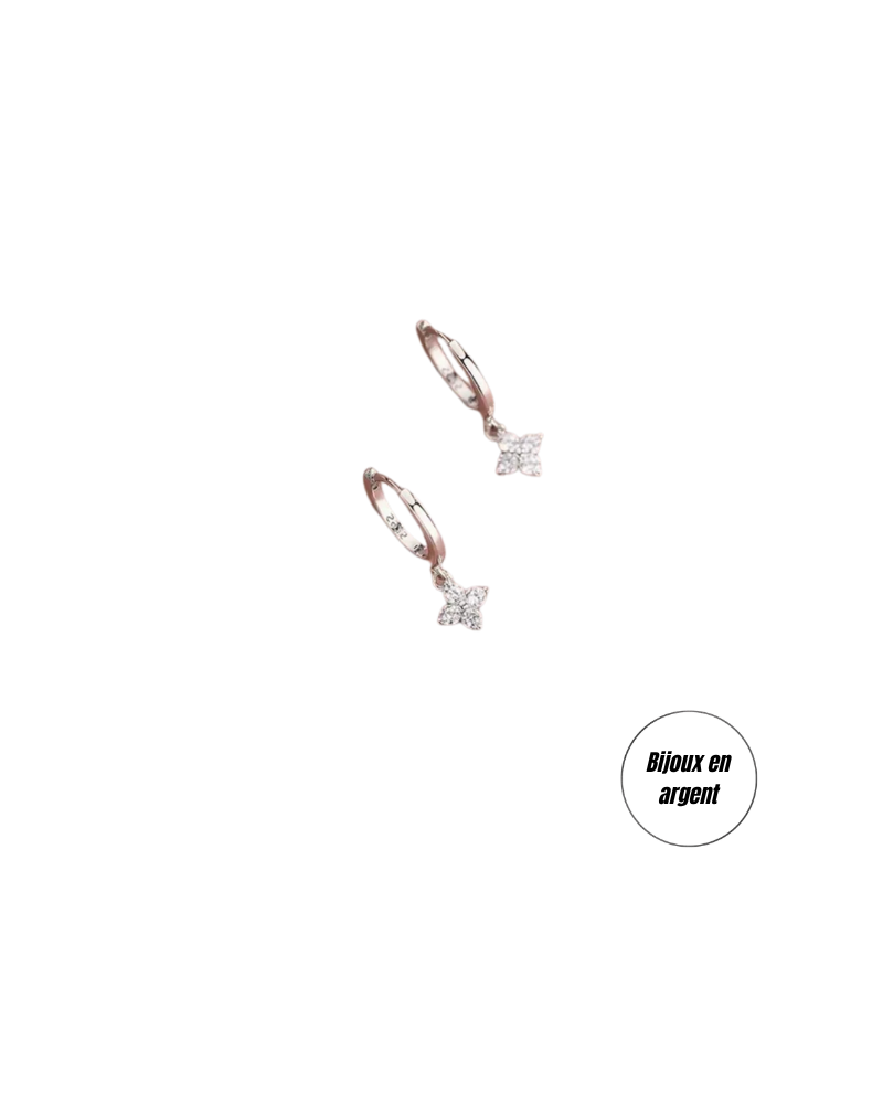 (b) Boucle d'oreille Rosea Silver