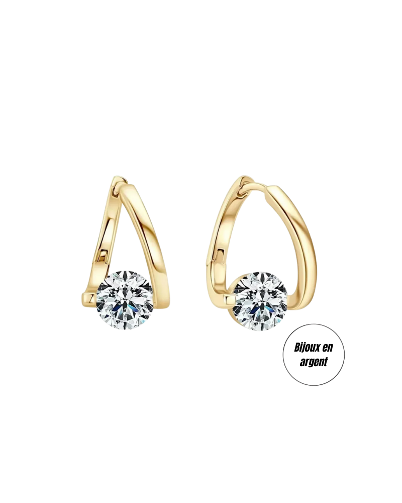 (b) Boucle d'oreille Zara Gold