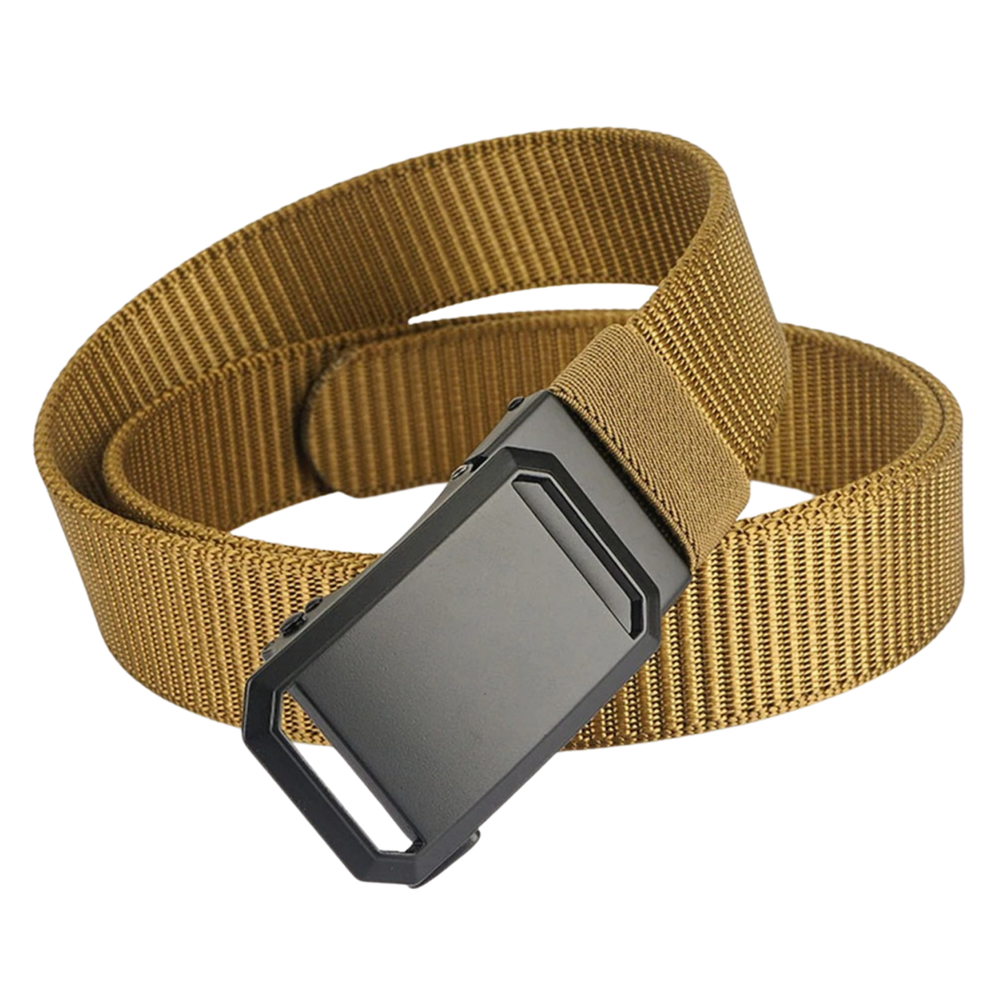 (b) Ceinture Buckle Sable