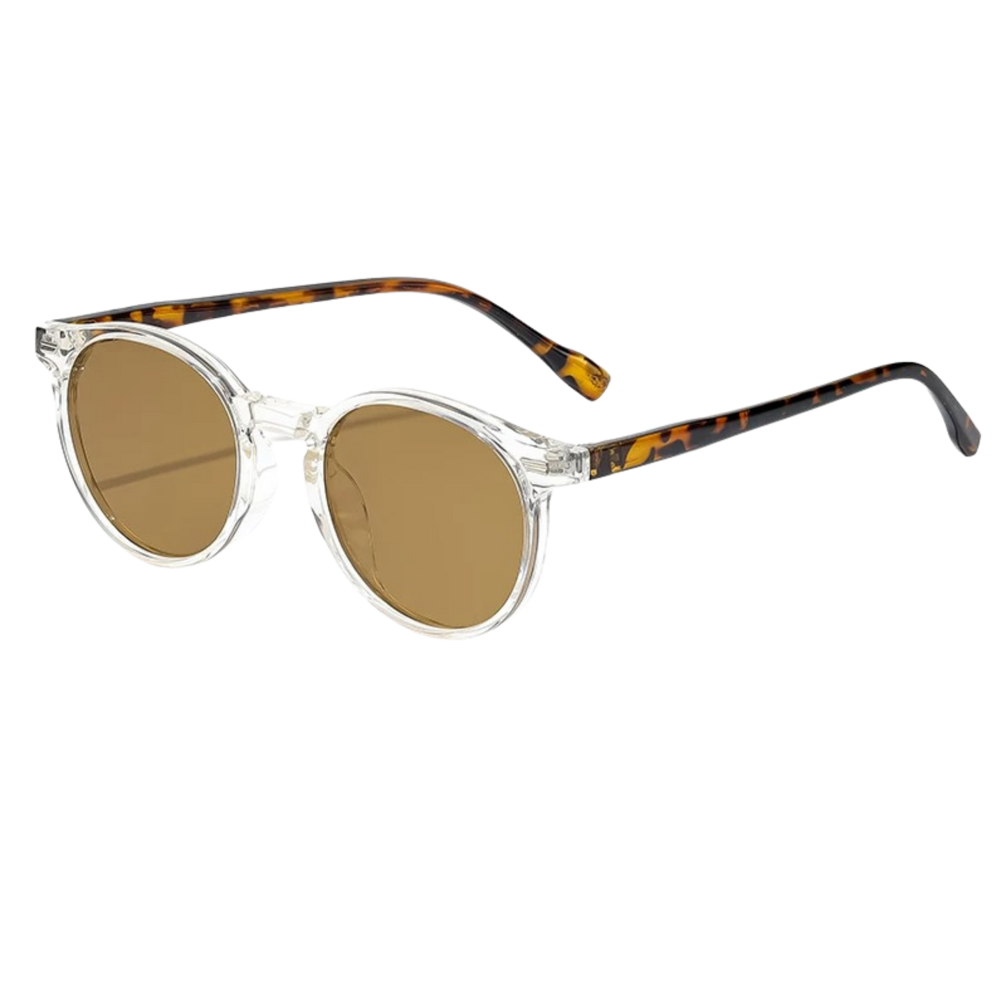 L) Caterside Sunglasses All Brown