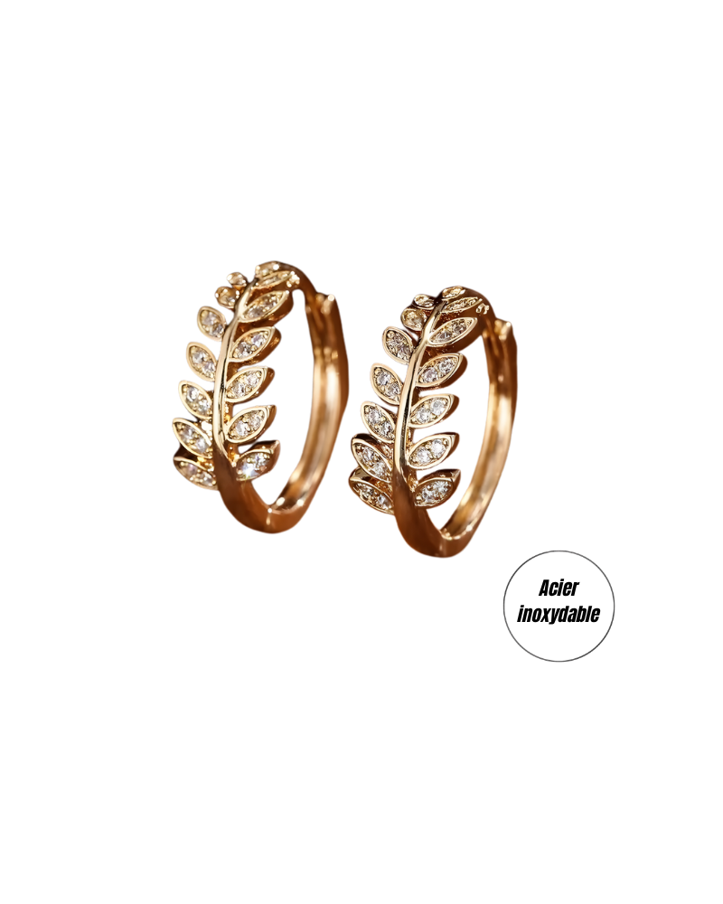 (b) Boucle d'oreille Naya Gold