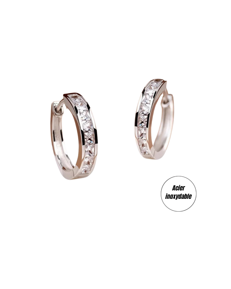 (b) Boucle d'oreille Alia