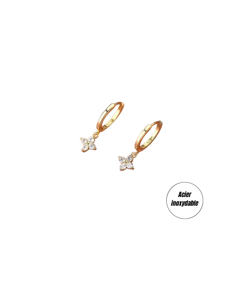 (b) Boucle d'oreille Rosea Gold