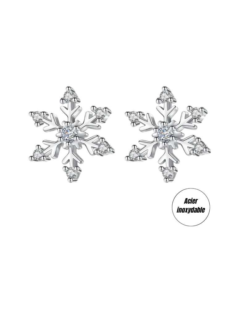 (b) Boucle d'oreille Neige