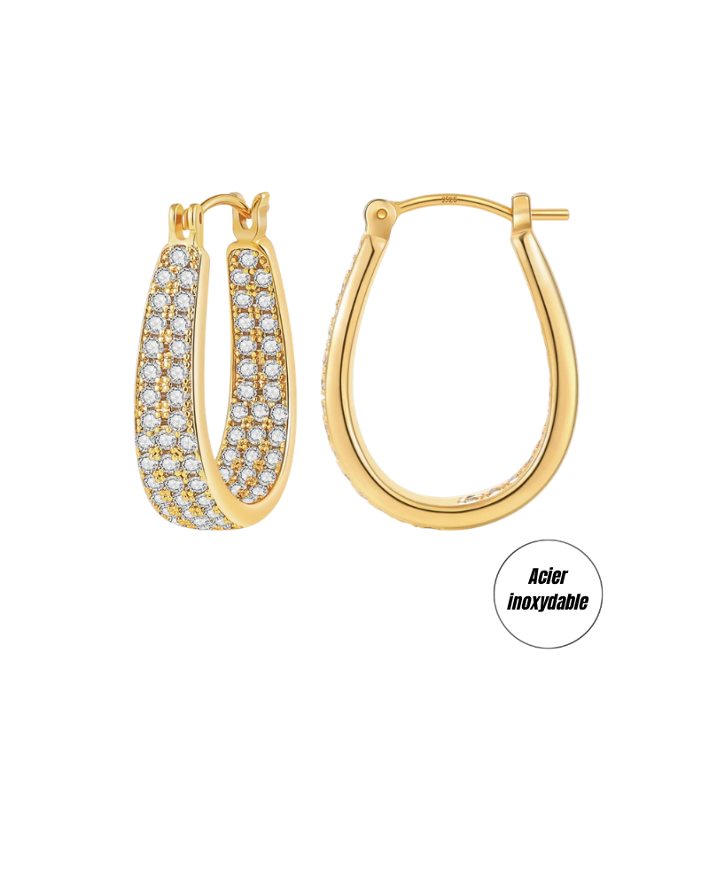 (b) Boucle d'oreille Amorelle